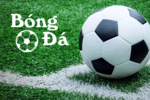 Cách Xác Định Bóng Trong Cuộc Và Bóng Ngoài Cuộc Chuẩn Nhất