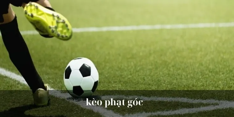 Cách Chơi Kèo Phạt Góc Bóng Đá Và Phương Pháp Nhận Diện Cơ Hội