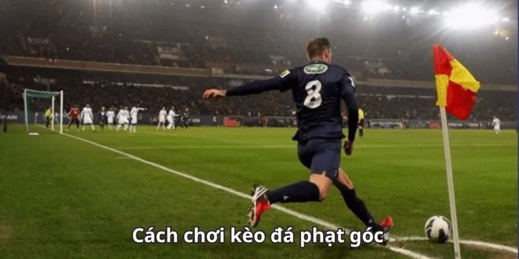 Cách Chơi Kèo Phạt Góc Bóng Đá Và Phương Pháp Nhận Diện Cơ Hội