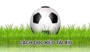 Cách Chơi Kèo Tài Xỉu Hiệp 1 Thắng Lớn Nhờ Dữ Liệu Thực Tế