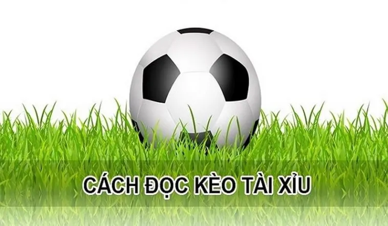 Cách Chơi Kèo Tài Xỉu Hiệp 1 Thắng Lớn Nhờ Dữ Liệu Thực Tế