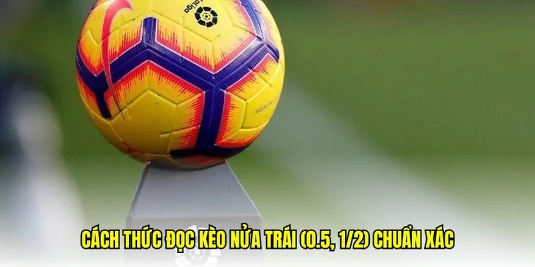 Cách Chơi Kèo Chấp 0.5 Trong Bóng Đá Và Phương Pháp Soi Kèo Chuẩn