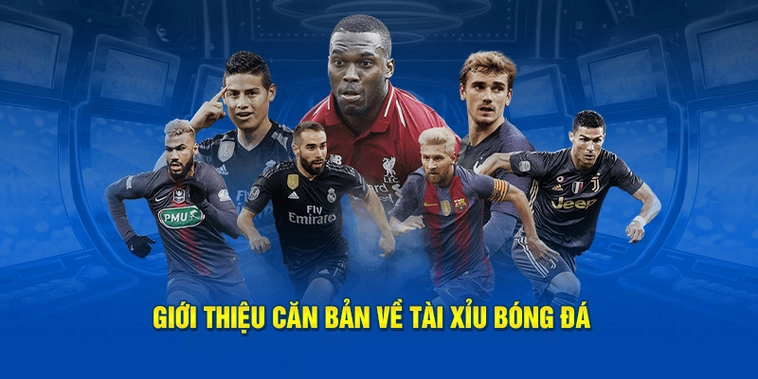 Hướng Dẫn Cách Chơi Kèo Tài Xỉu Bóng Đá Và Bí Quyết Dự Đoán Chính Xác