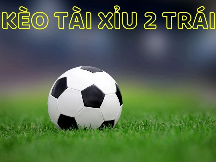 Hướng Dẫn Cách Chơi Kèo Tài Xỉu Bóng Đá Và Bí Quyết Dự Đoán Chính Xác