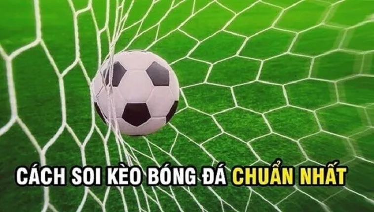 Cách Chơi Kèo Rung Trong Bóng Đá Luôn Thắng Lớn Cho Thành Viên