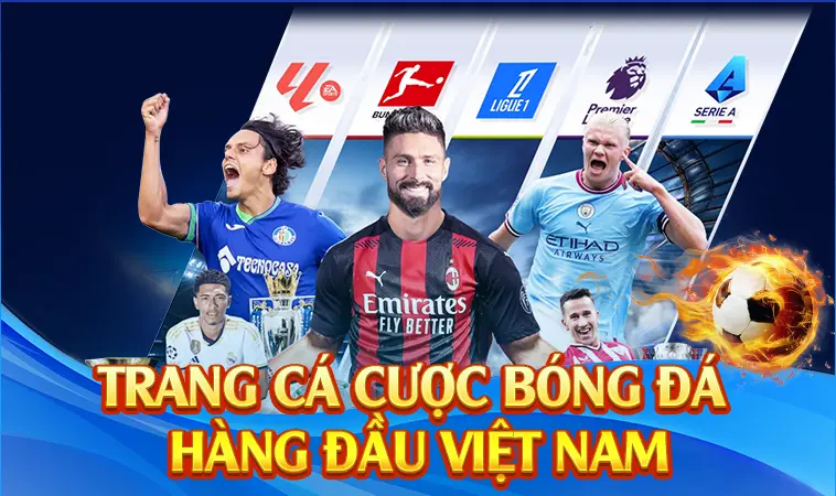 Top Trang Cá Cược Bóng Đá 2026 Cùng Những Tiêu Chí Chọn Lọc Đỉnh Cao