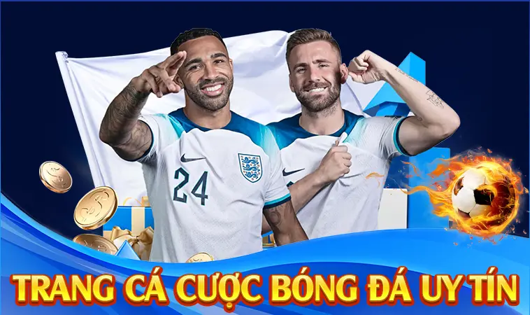 Top Trang Cá Cược Bóng Đá 2026 Cùng Những Tiêu Chí Chọn Lọc Đỉnh Cao